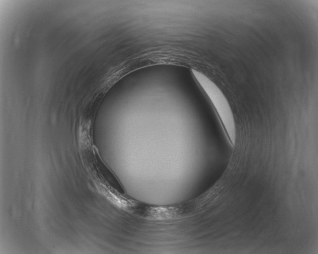 X0000079330239200611171004