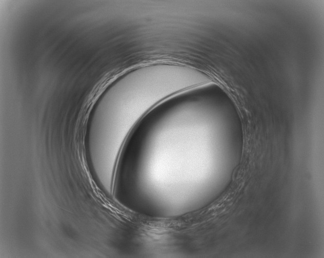 X0000079330241200611171003