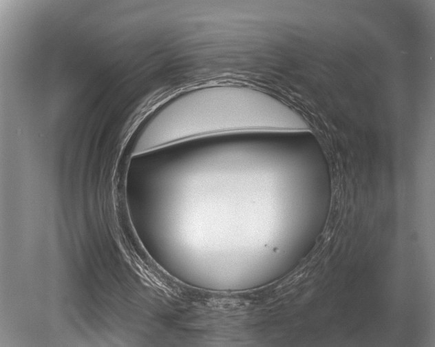 X0000079330242200611171003