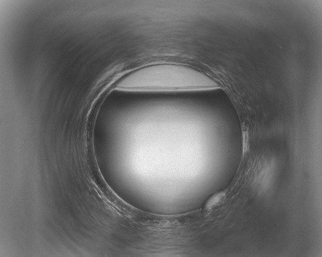 X0000079330243200611171003