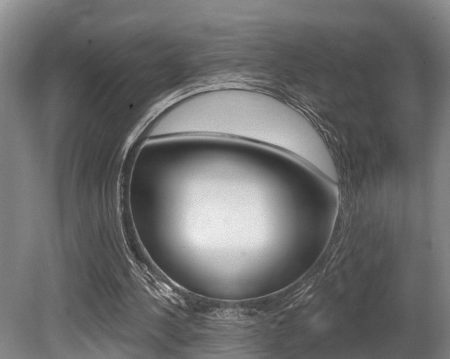 X0000079330244200611171003