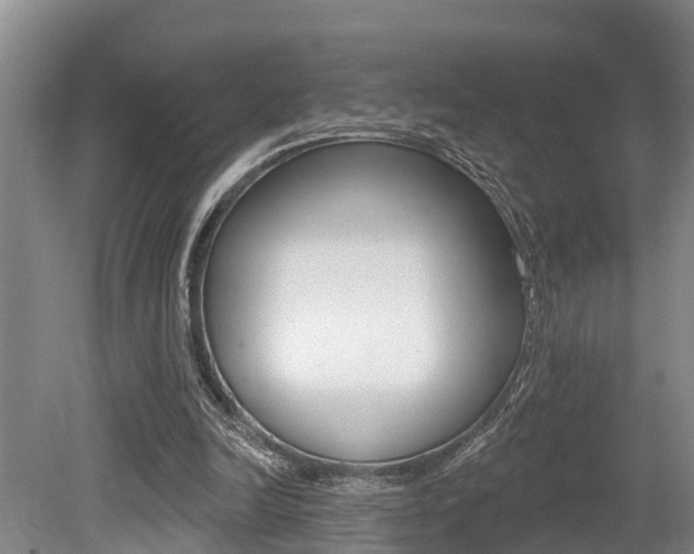 X0000079330246200611171003