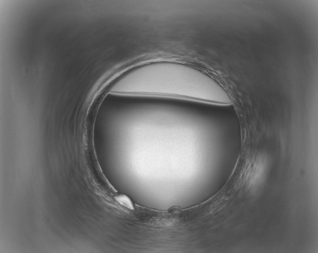 X0000079330247200611171003