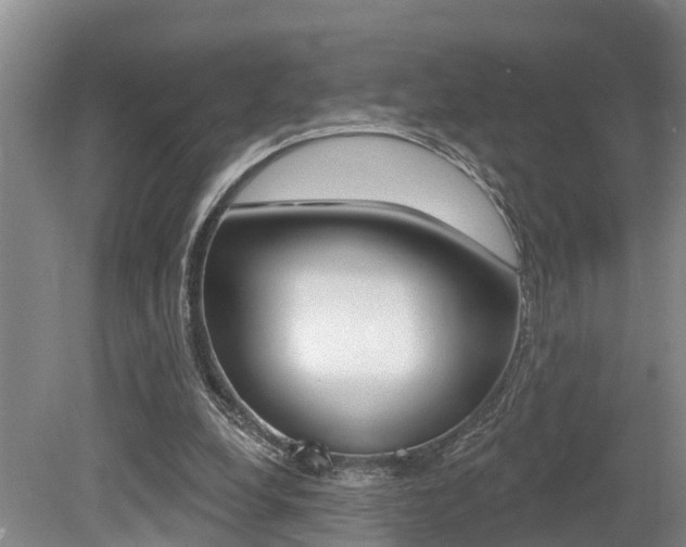 X0000079330248200611171003