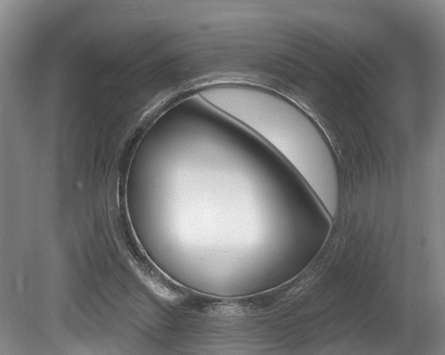 X0000079330253200611171004