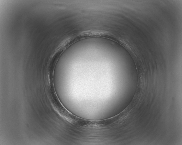 X0000079330254200611171004
