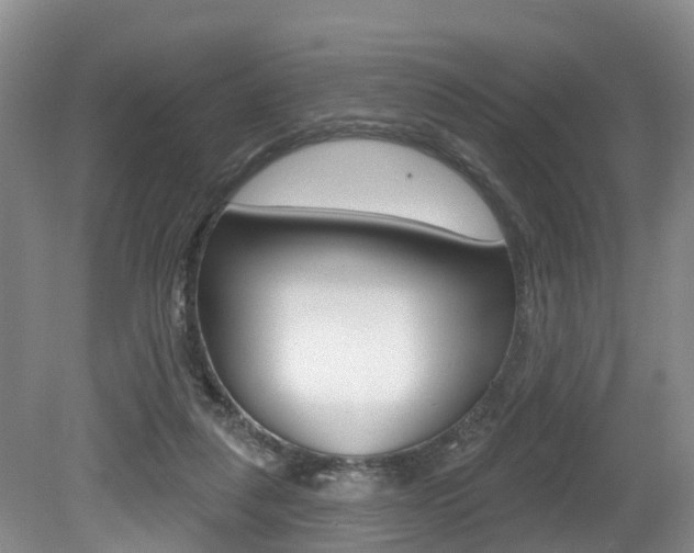 X0000079330259200611171004