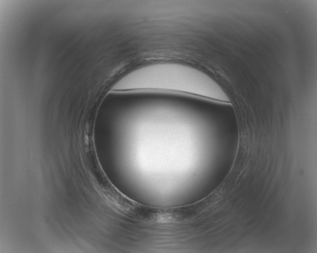 X0000079330264200611171004