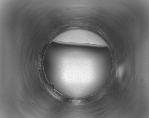 X0000079330265200611171004