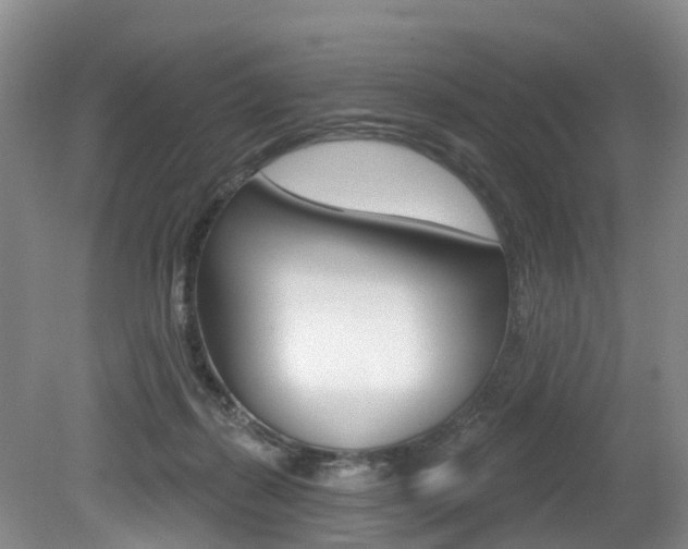 X0000079330267200611171004