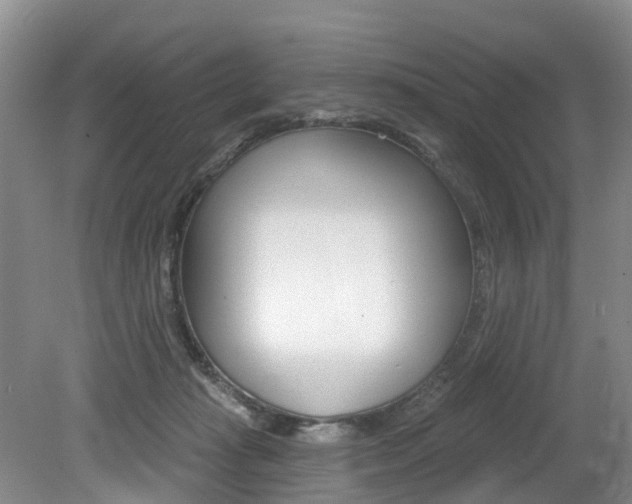 X0000079330269200611171004