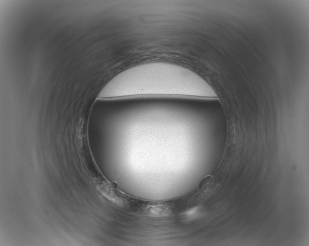X0000079330275200611171004