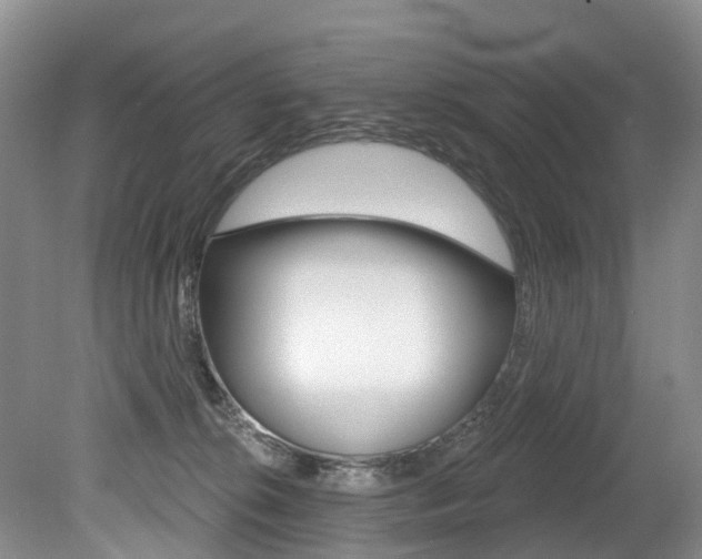 X0000079330276200611171004