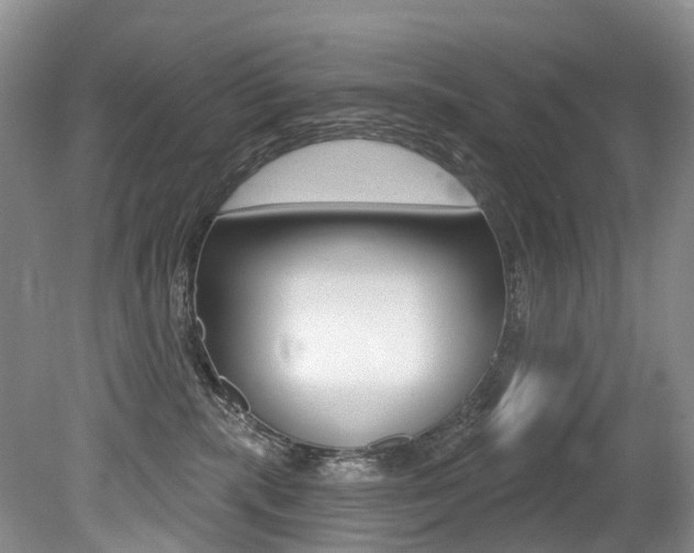 X0000079330283200611171004