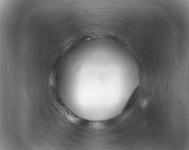 X0000079330287200611171004