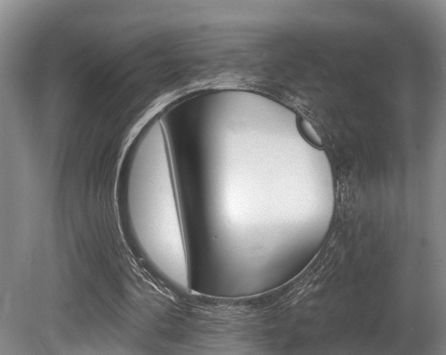 X0000079330292200611171003