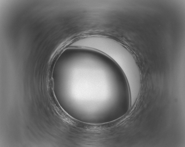 X0000079330293200611171003