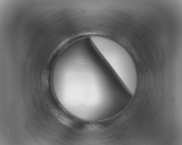 X0000079330300200611171003