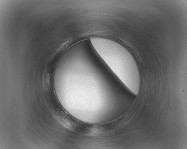 X0000079330308200611171003