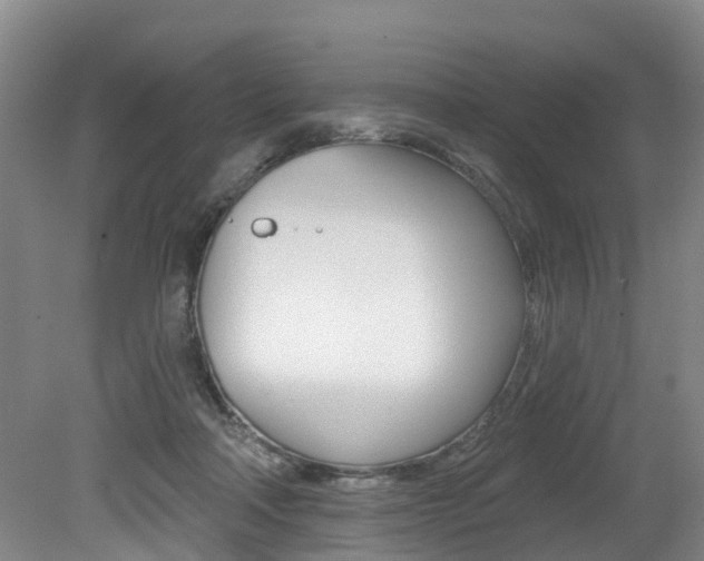 X0000079330314200611171003