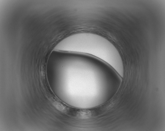 X0000079330317200611171003