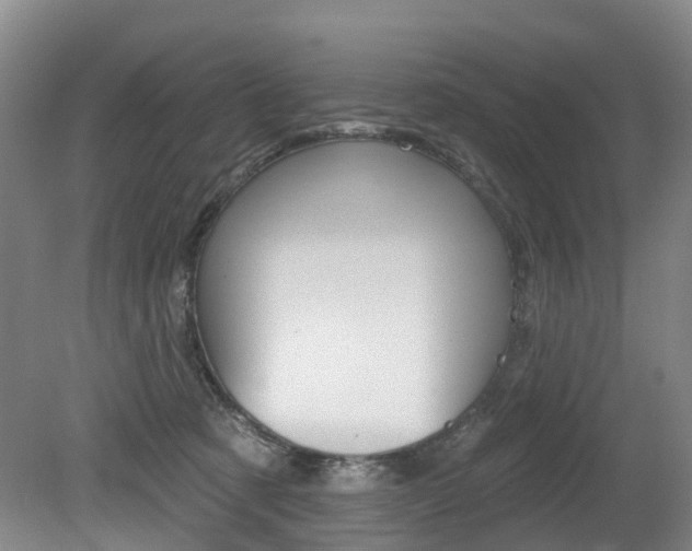 X0000079330321200611171003