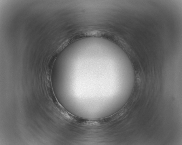 X0000079330322200611171003