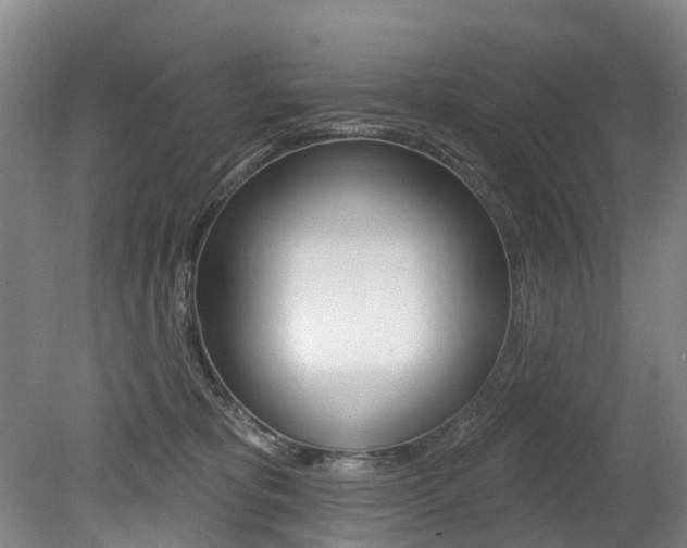 X0000079330325200611171003
