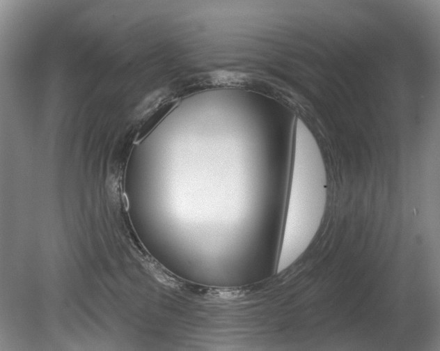 X0000079330329200611171003