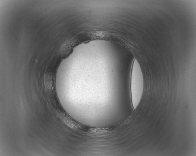 X0000079330331200611171003