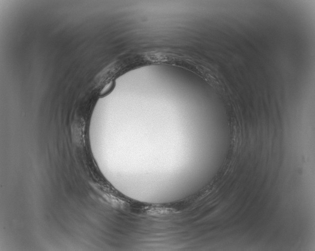 X0000079330332200611171003