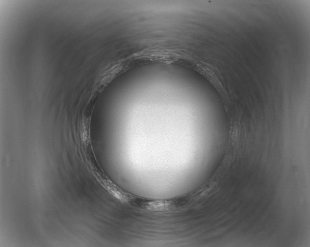 X0000079330335200611171003