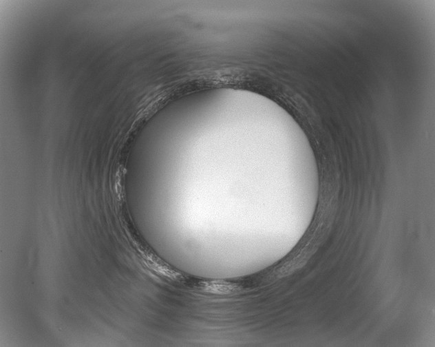 X0000079330336200611171002