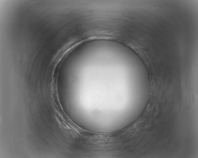 X0000079330338200611171002