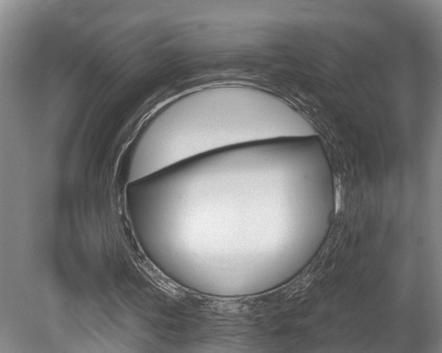 X0000079330339200611171002