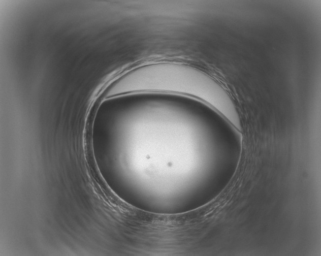 X0000079330340200611171002