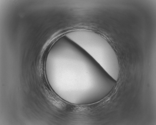 X0000079330343200611171002