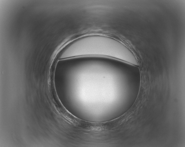 X0000079330344200611171002
