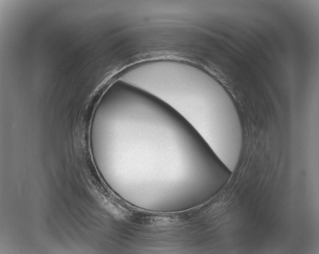 X0000079330347200611171002