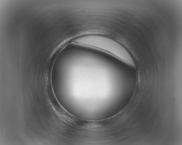 X0000079330348200611171002
