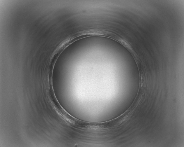 X0000079330349200611171002