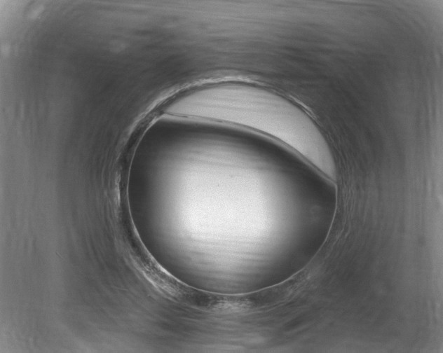 X0000079330350200611171002