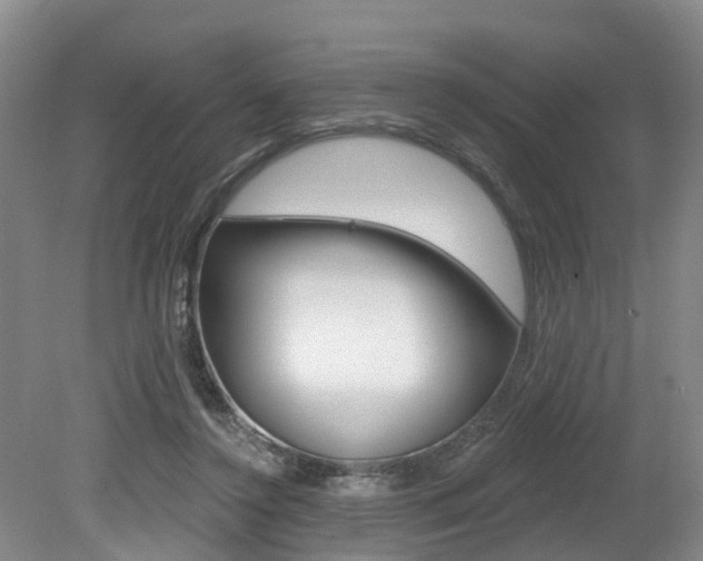 X0000079330356200611171002