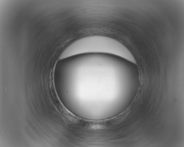X0000079330360200611171002