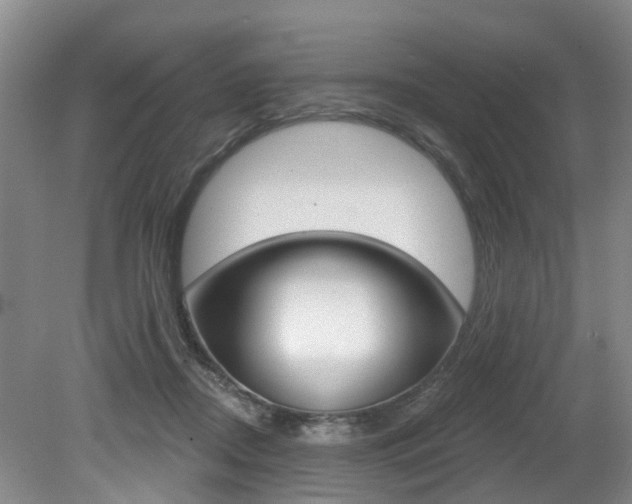 X0000079330362200611171002