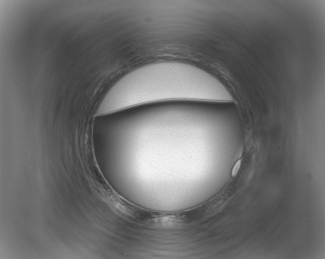 X0000079330365200611171002