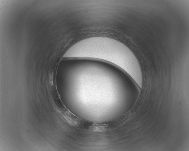 X0000079330368200611171002