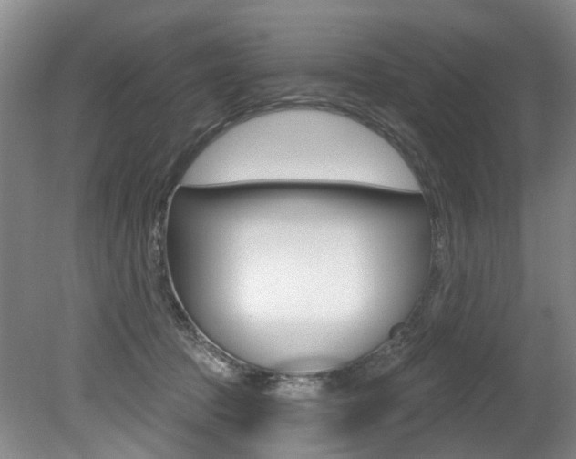 X0000079330369200611171002
