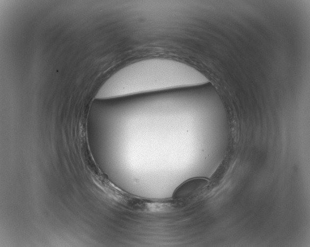 X0000079330371200611171002