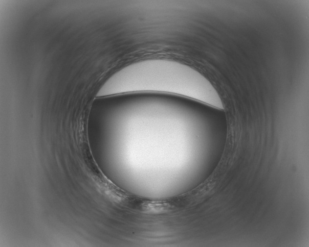 X0000079330372200611171002